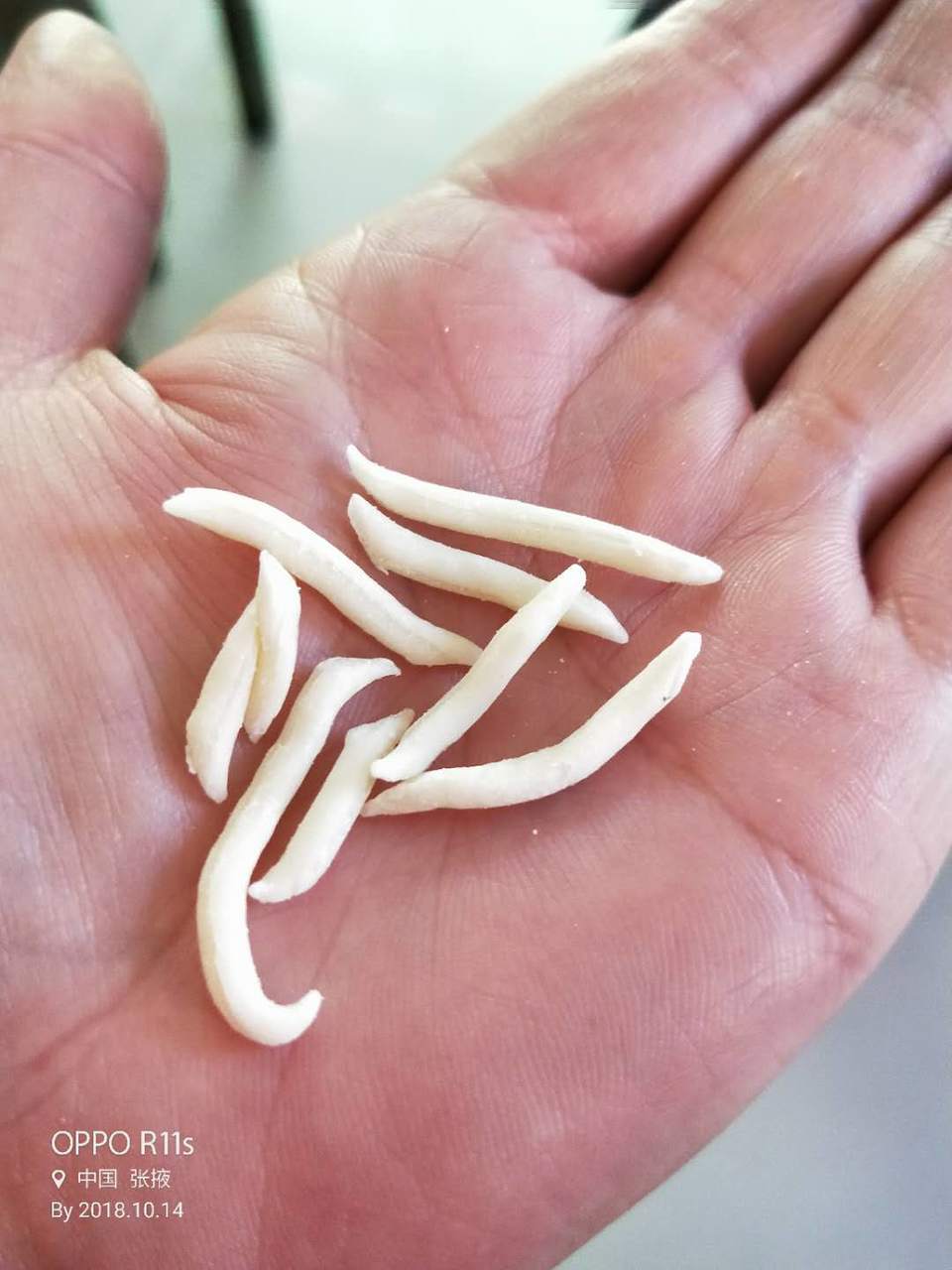 W73Gk2qravuSctR1dHpKiYYaN1sR9GvZ19m73BhUBnP3CQuQziwYSMGU541ObWP4