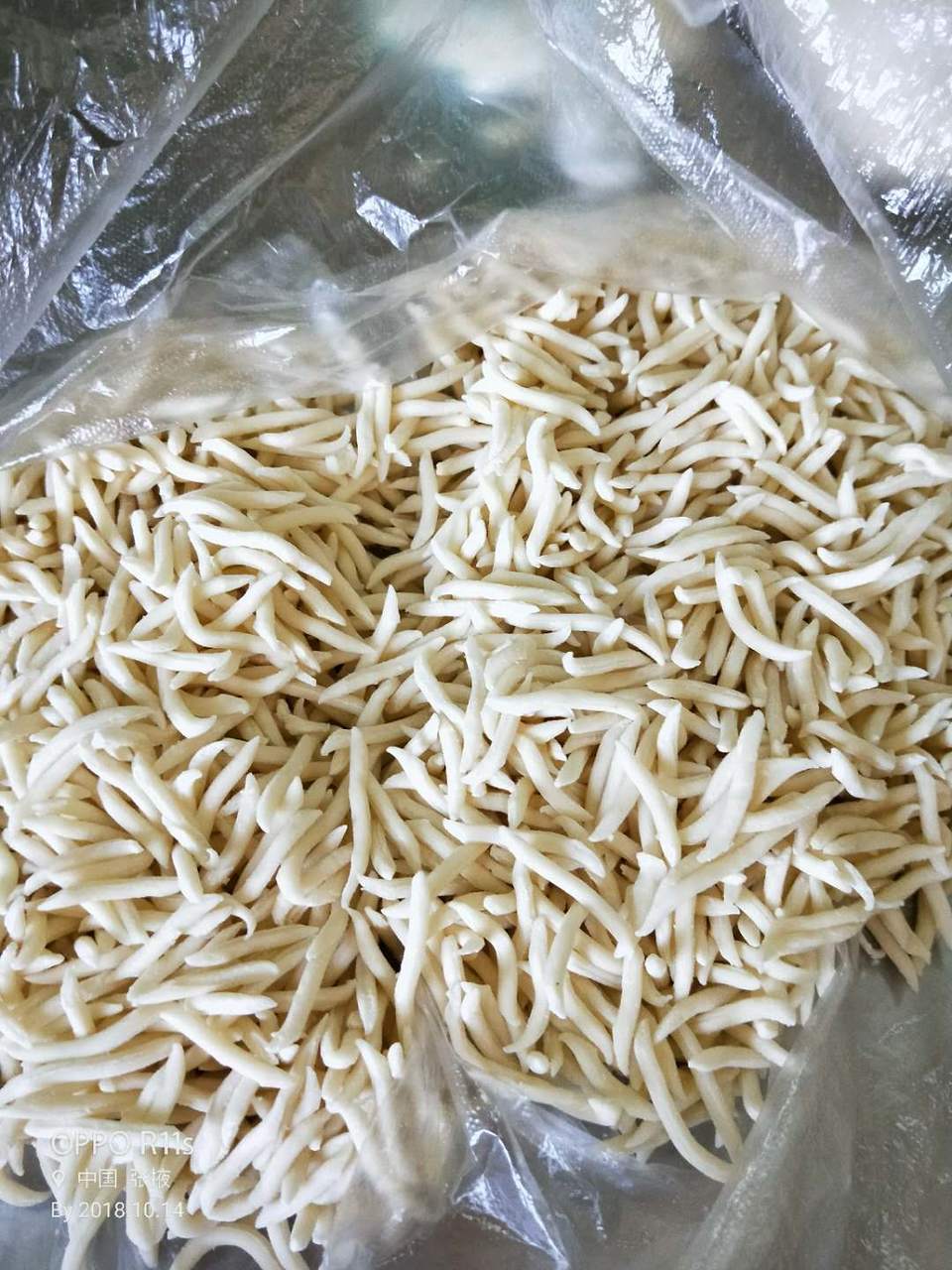 AzzOdtkxxCC19zeCeWGpKqi61rqVEA8lXpUCcXOJeCFALCWbw2WOyJguHTQfIj06