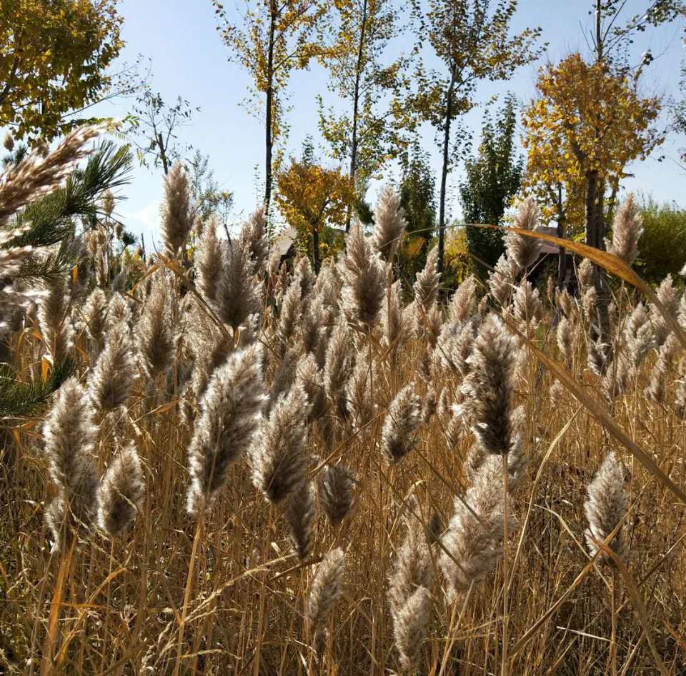 t28rVq7-GYRzxnEfvVRngZzl-3rnDTq32yOUZkno9rjCShop6PgzT9di9ME8nV0v