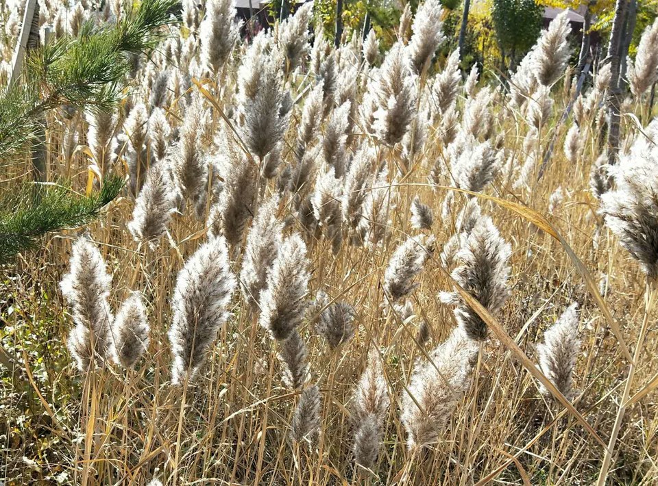 CaBdf4fpdQV6874OBXJS_y6ij4Dj-H3iU-Xa-PLZPCu3NhzqzVuYgxaQrq0g67Mz