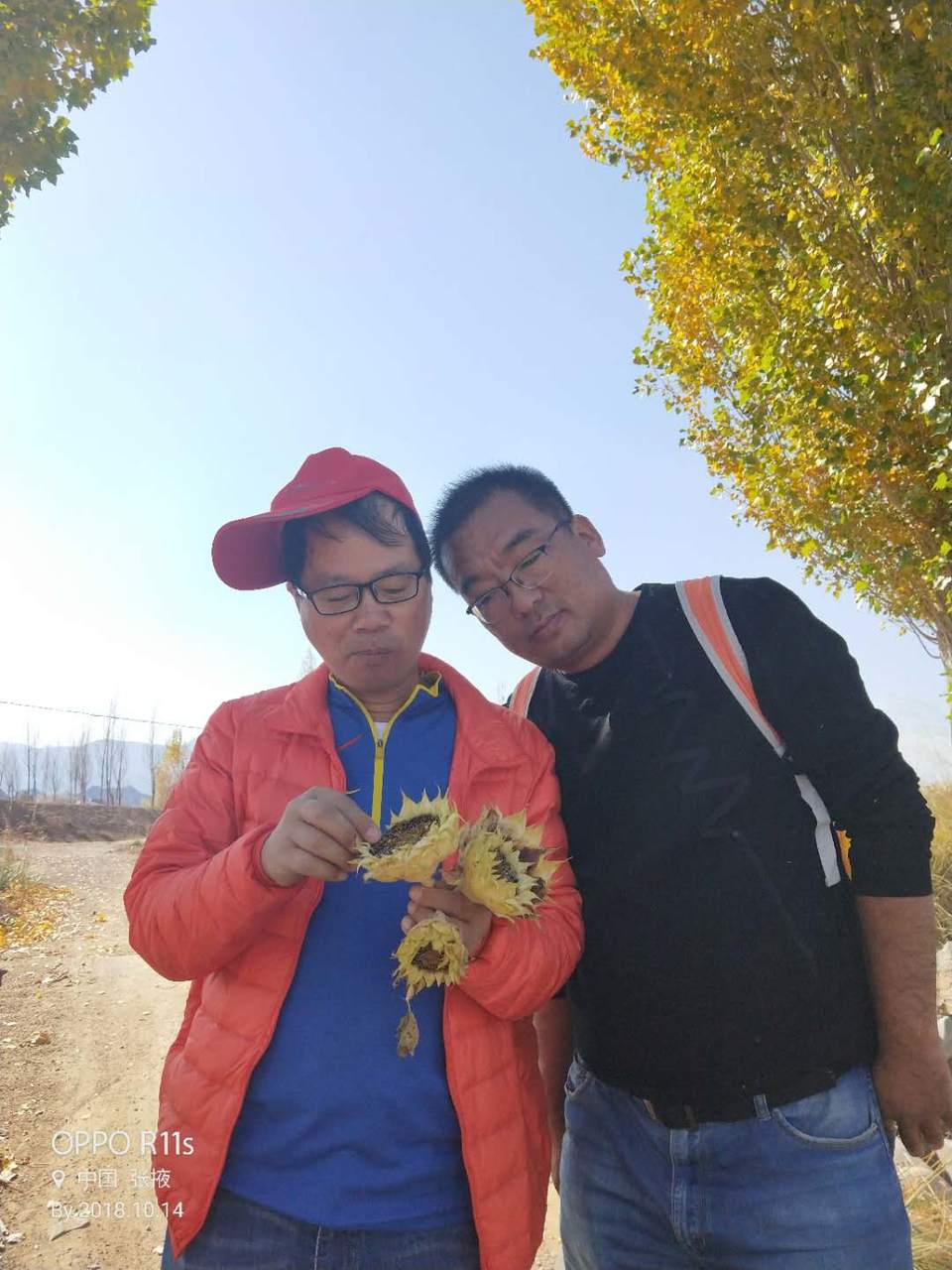 5ts_M1SWtvdmAYjQzVikX_OBqqWbBjgGh2jPHun5Ku-lWGnyv2CtdbV3__-Thp1D