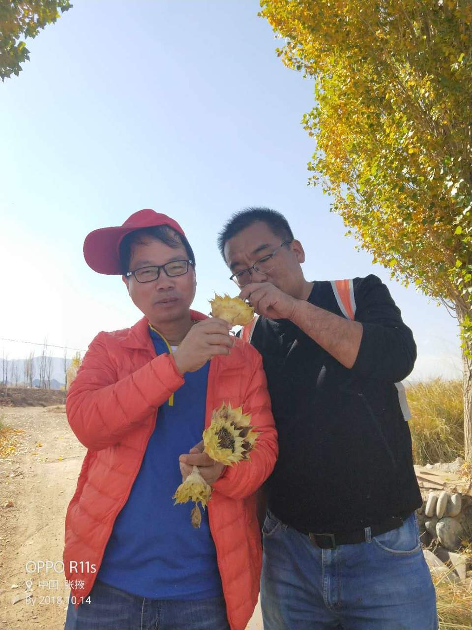 cMvoak5BHYdmLAsM9a8hZykXUEj5AbDcaj-0gN7y6Dz4B37DRwqxPl5eHqrkppTE