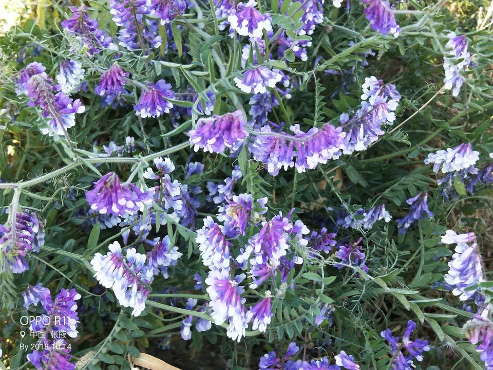 b1X-xdtE825qtz6SbprWasIprs7lgTsG7kDv9vvoLfqVbx3AJD84y6mABGK-Ht5I