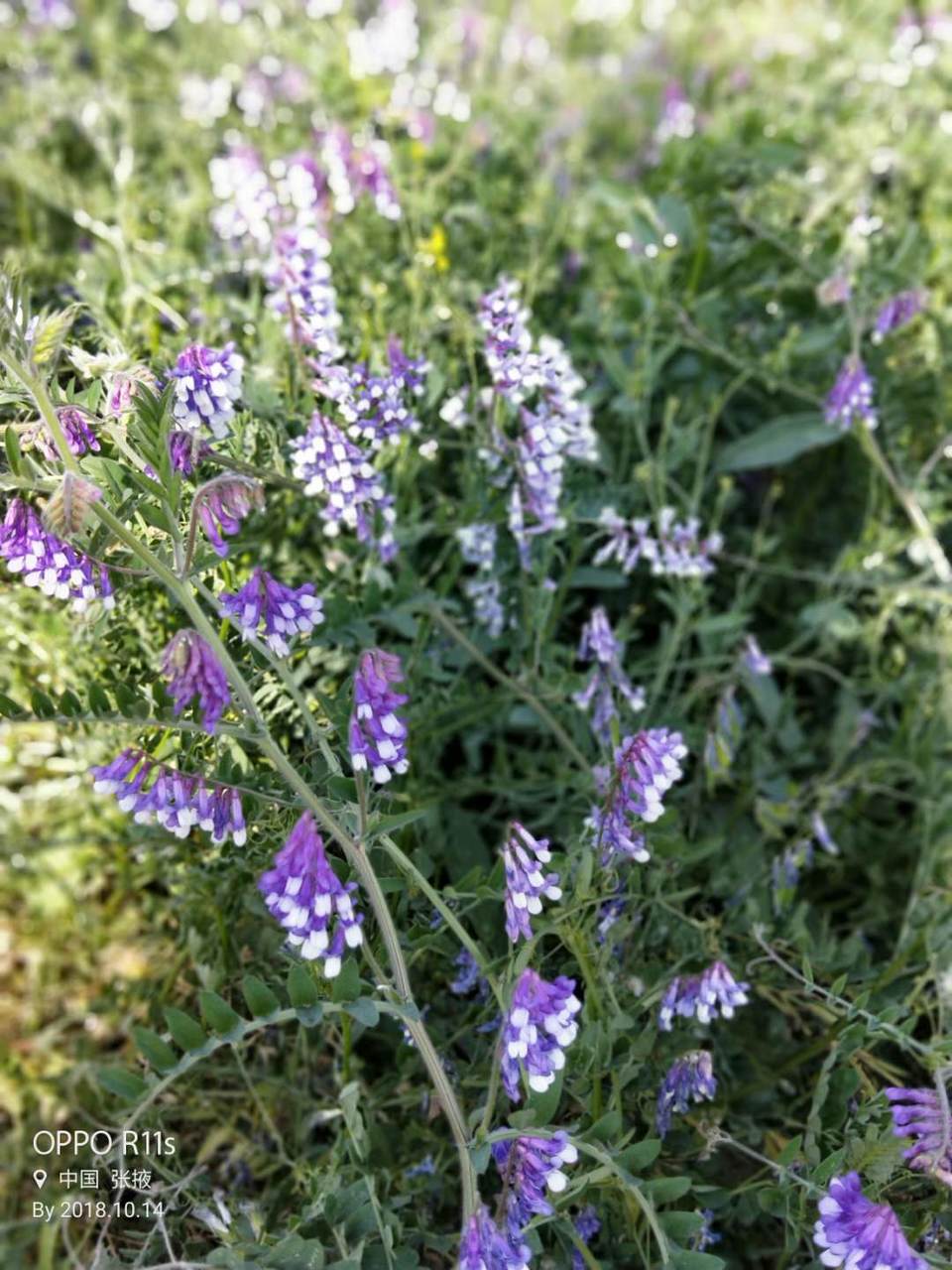 N-ckRF9lW5DJZHdrNjndTbgqHWTfp3s_X1DRZJIbLQ0DzMMjbKLxPbufTHA_jX85