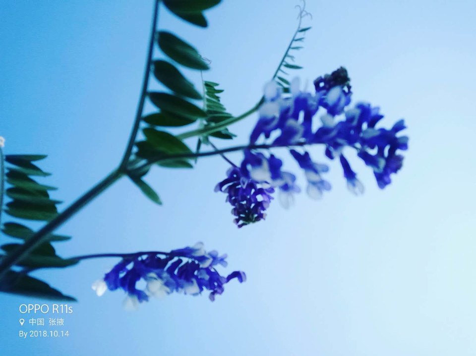 ZruJbuO7Vf5hNCrtiMFBEyOnTMCTFvNnPpc4WCCtA6N7DQSGqN5F1QMRkEDBDOi6