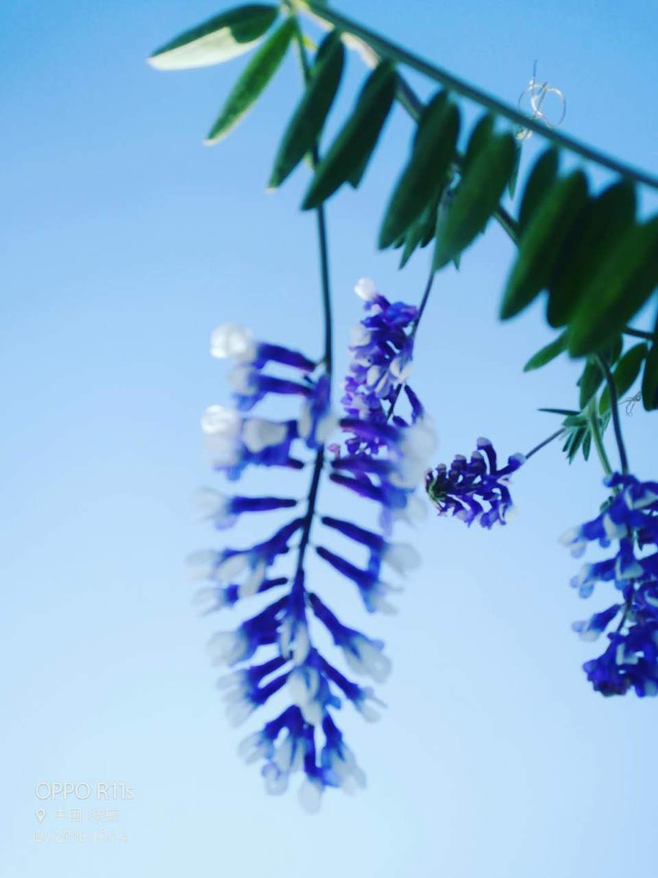 _sh0sOyj3R5EqI9SA59JmJLI0aX-THaeM14QV97izki2LLZ8-BUGwzQe4KM_eiA7