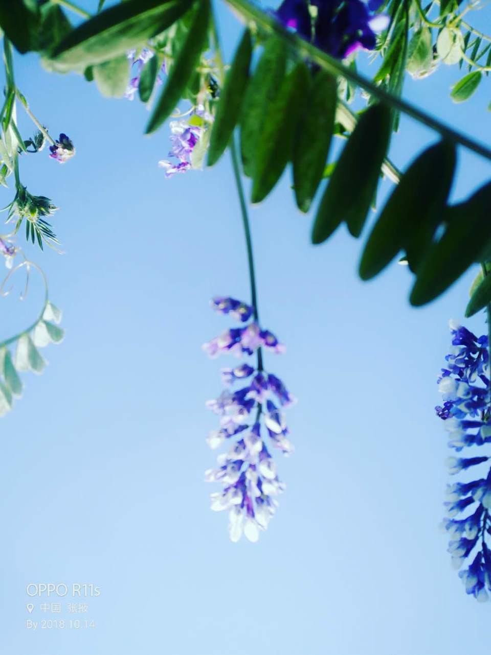 xv7H-APkXS9LFl2YJzwXDcThMa_kopNQA8e09OIzqcSKfeU8ggaZA-D_4GnCNGB0