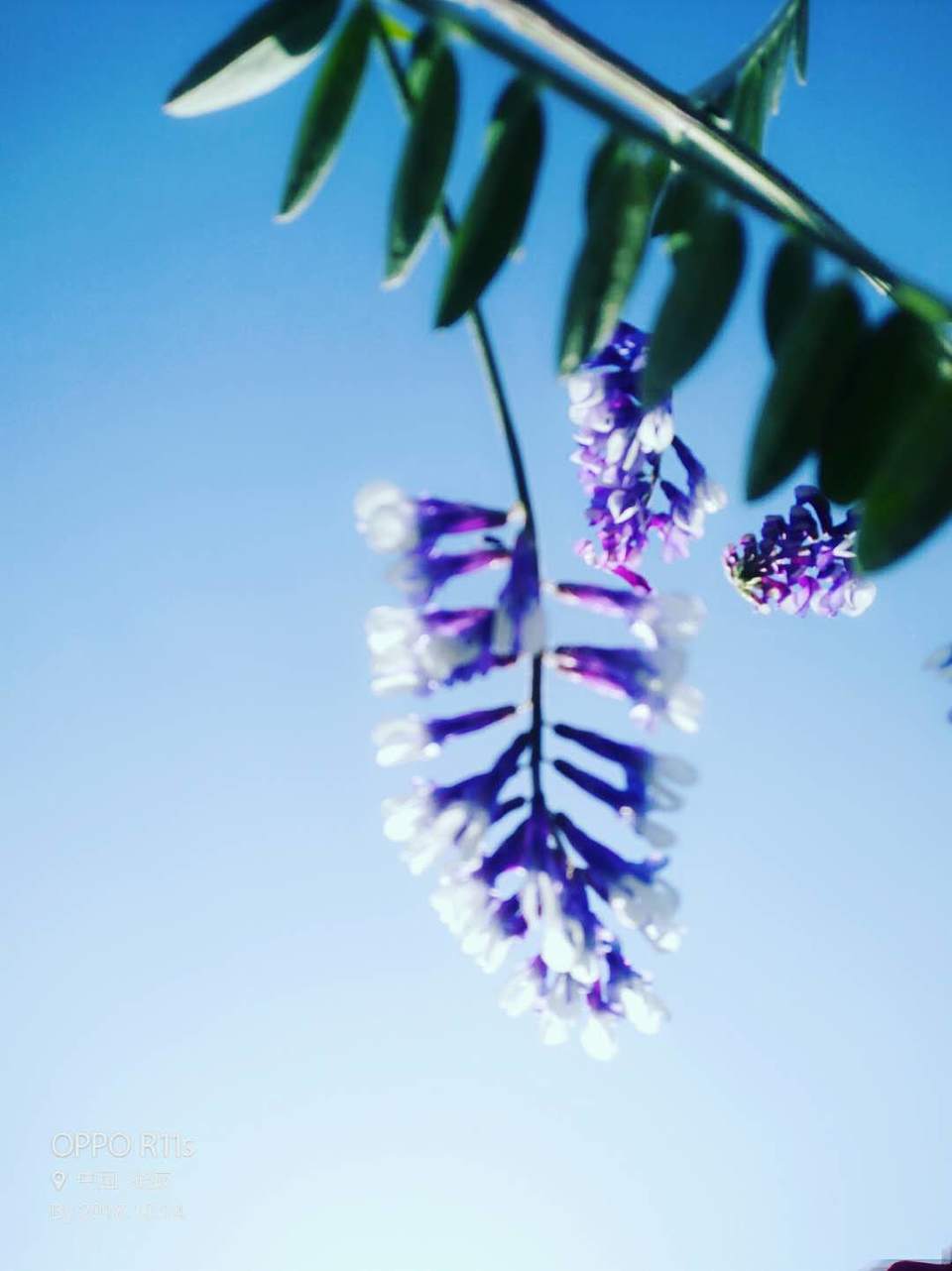 Qn7TS8I1ZHXr_PWALuFL-R0siQTfvuqCkBL4HzfwHMFGHIKgYkzJrF3FD0_uficN