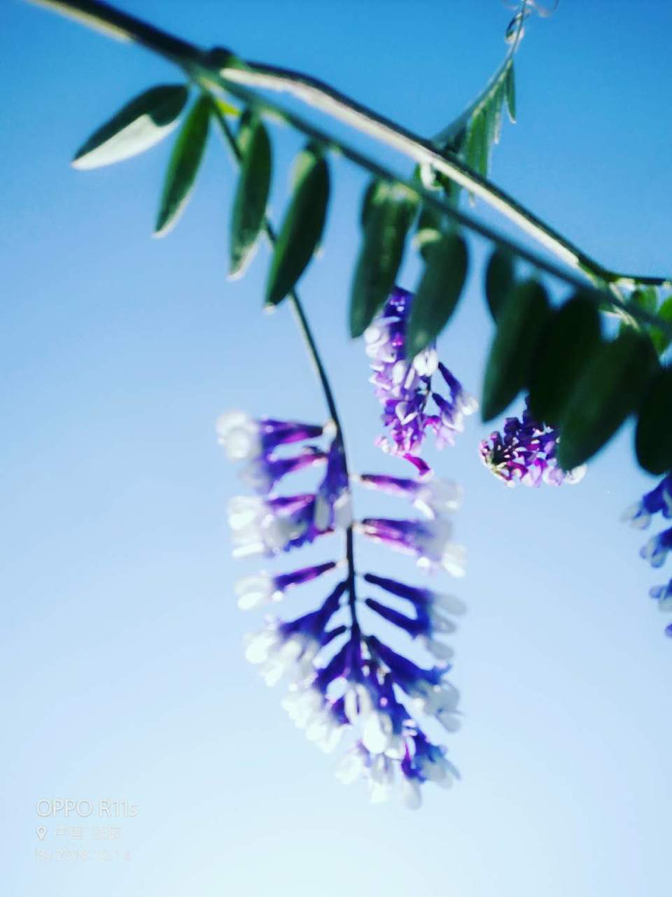 3Rix_O-Skyna63bzWLTx6mll2T5GM-HH_Cfu_ZCa9E_fDKDxB7ZKBnRFEhTIuel9