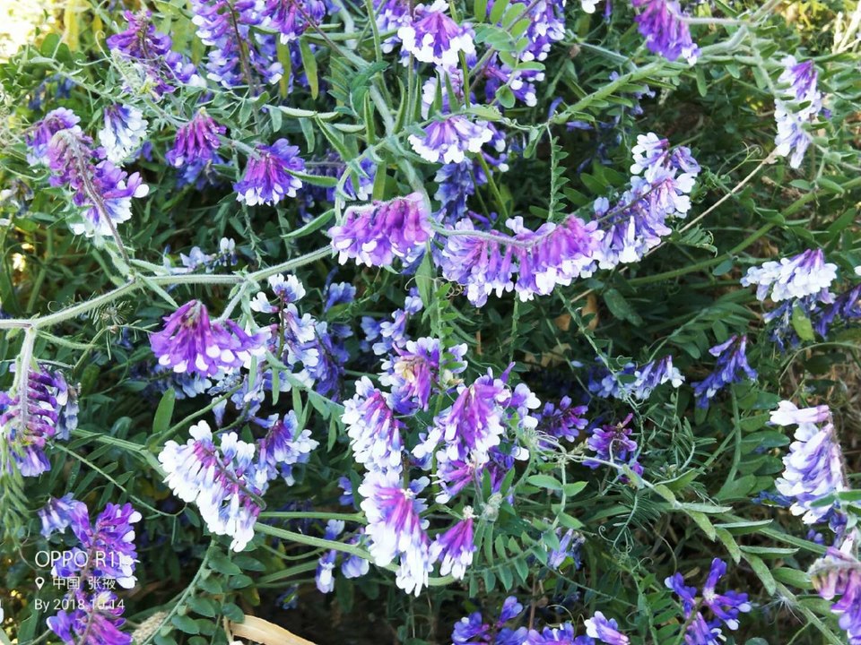 2O2KhdTuHguTvqjFYWnt0HrriyO8XJYZ0FcFTd--WJIMVOiWlt_aY-6bwx3ckUes