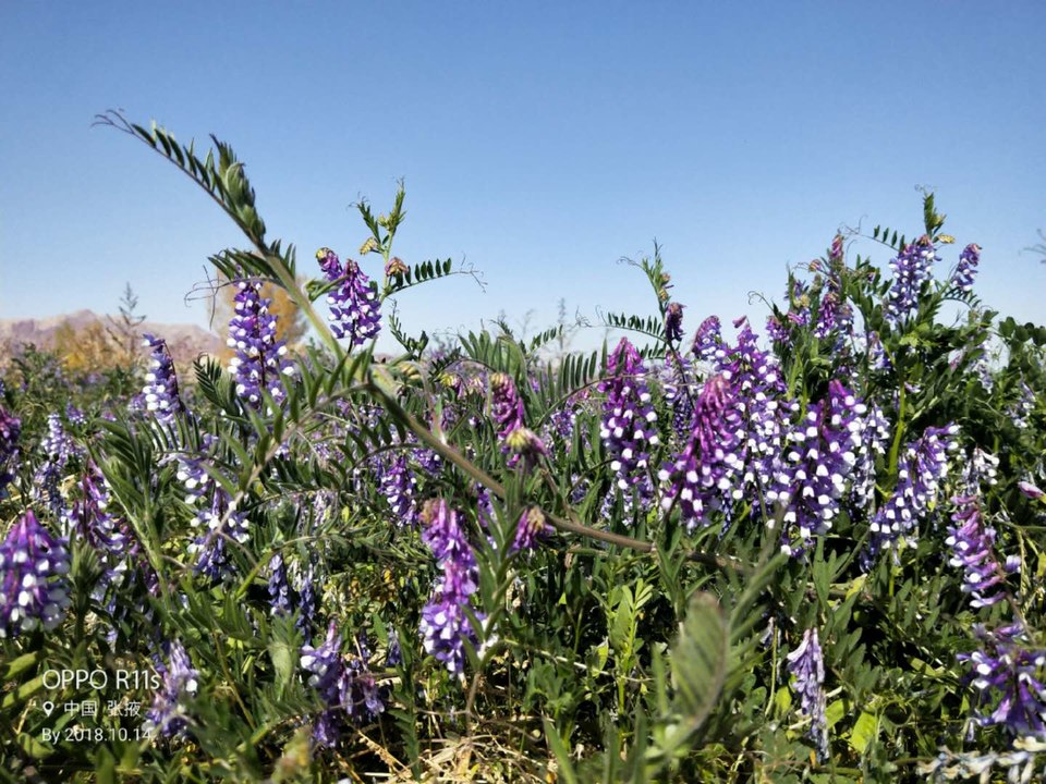 _lNmukximRCUIhFm70PQKmlbeJgpychcHlEHPcAzY4em8b2BkyItKu4OVaiXQ5M3