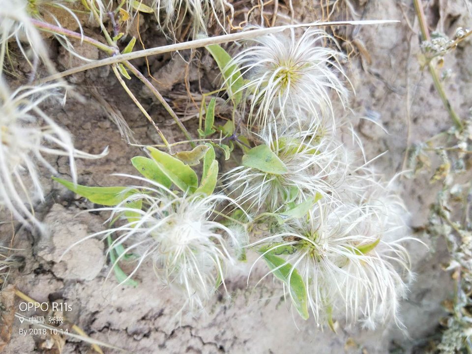 l2DCnRM_jySX1sLW1lT4ezHwCfj6KroPsUCW6z30qxQihi52mV2d9l7gxiVASXUV