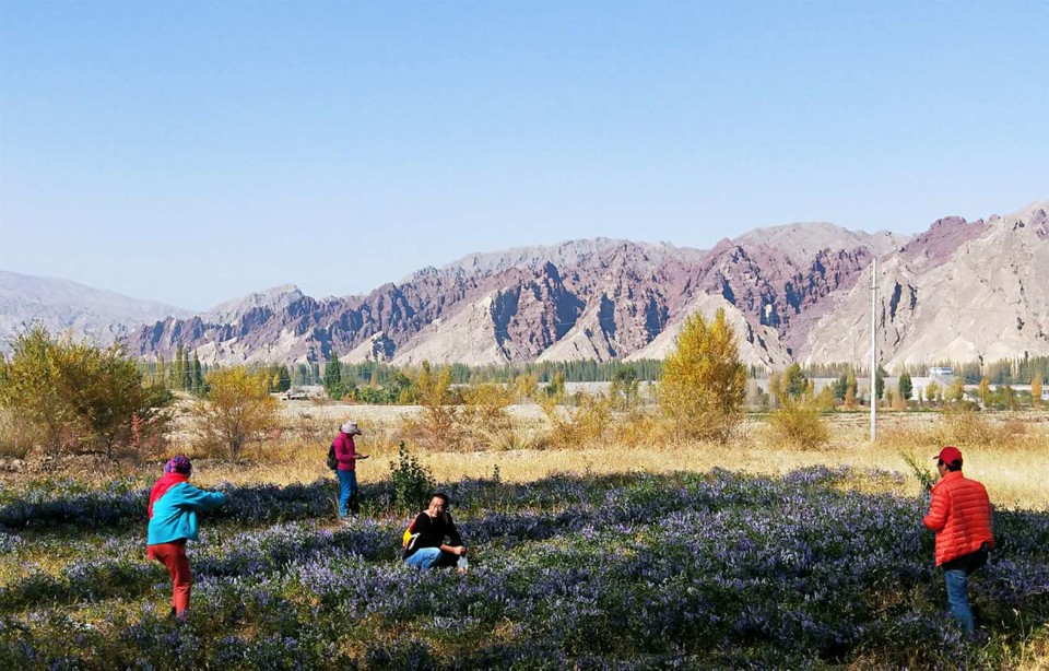 kil6xt6Gvzotg3QDlXbNUoUj35gkAAO9CFoHoj55zXkId-CQeVqFFtu66kRLROzA