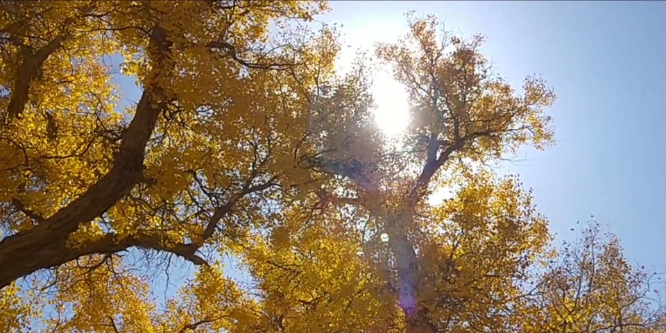 4JpQKTL9lDxIsKR2_3gQQJ8G4kHbysnF_d-tGbHlW7nmFzoV90HarlQR0if7CWfl