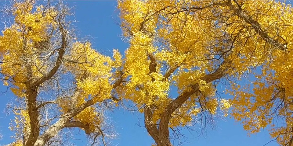 DfTw3wKTLx2KK5JTbuBeWSJrP1qkHv3WrqN_0RnayvqgZzUcFT3yH5oemMV-qycQ