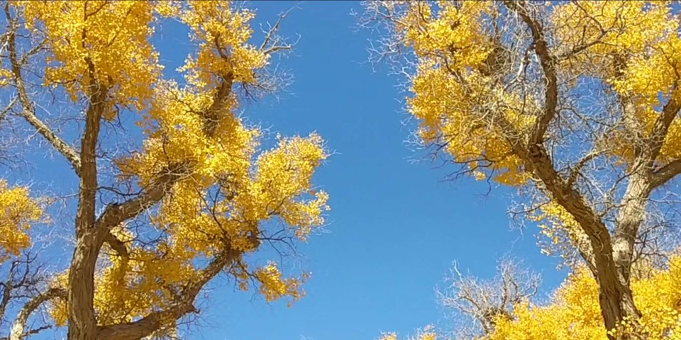 Mav3nv_iRfN4eFMM-ijg_k6Q4Sie_oUwzCDS99ZMUrlzOec_t7sqkwrolFbWbhKw