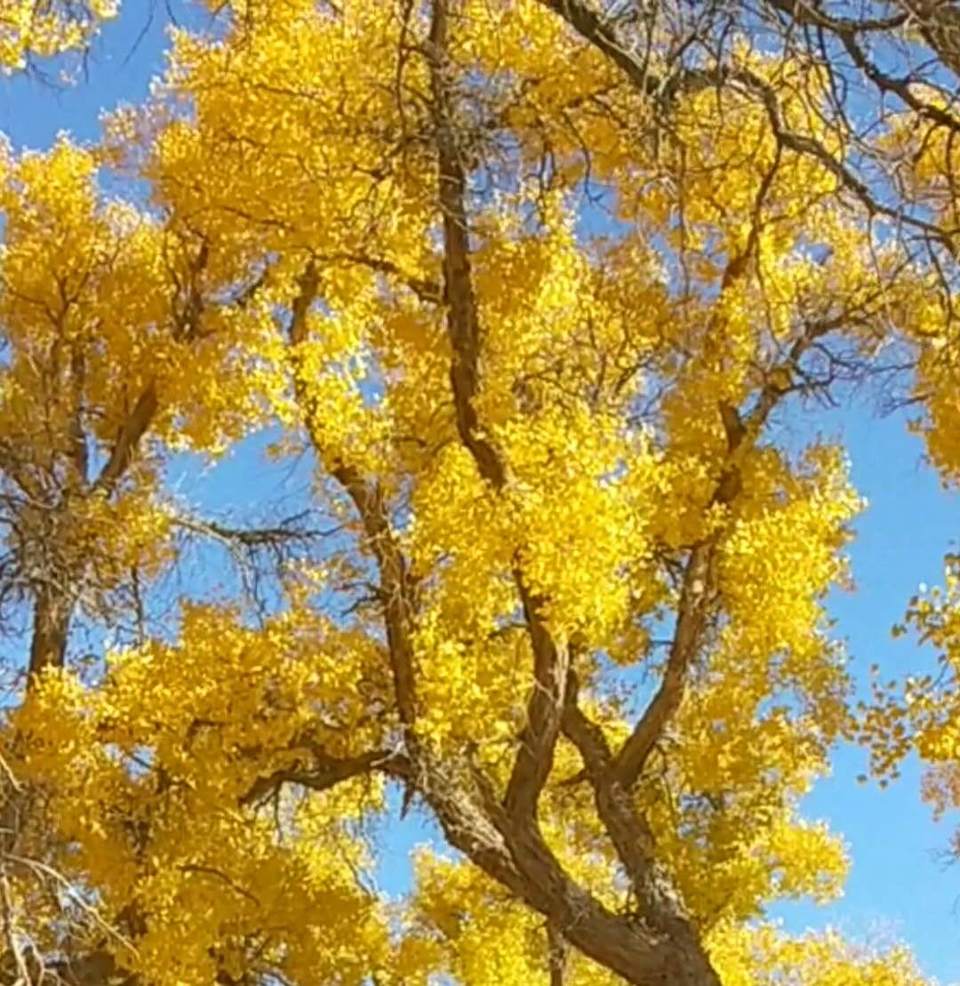 GKgonDGeg8B-JONCzdmYrh1JiM0Ktab5gyCsqyhaLduFlwO-Y86NZJmyqYWtvn1-