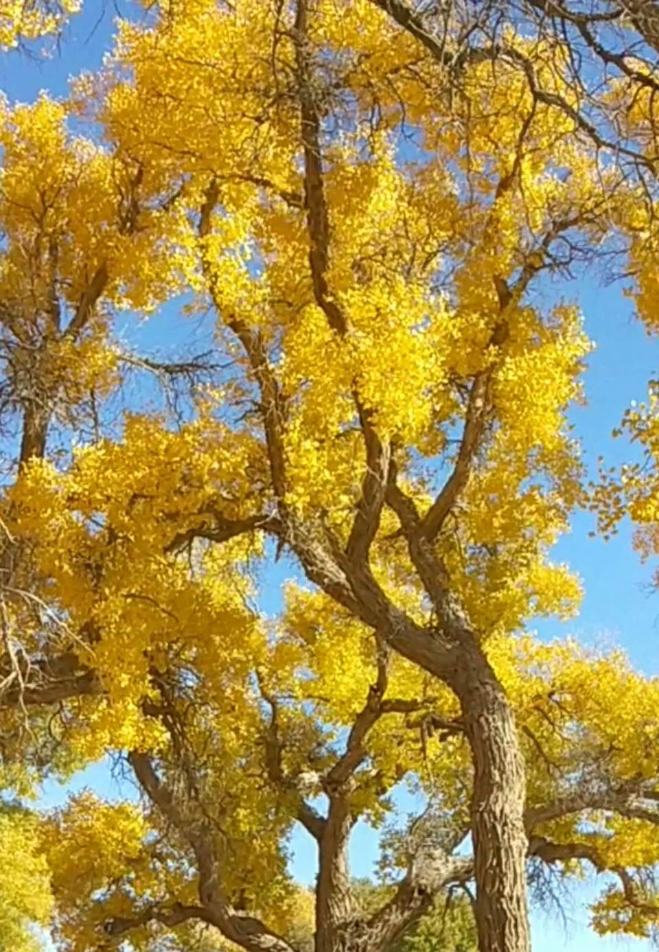 lMjPPUHVB5NFKphHkACrAlM3dyDryCDehvgCybjiDIKH31akzScwRGEYgB1fFtvU