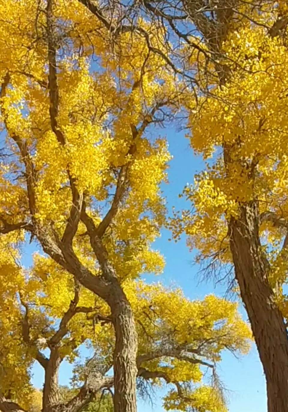 xwZ8DLk_9soKgUkMIrduSp1khb7eXKq7LvM2mzp-aeS7ZnxxOPxgh6E0bJzJNttU