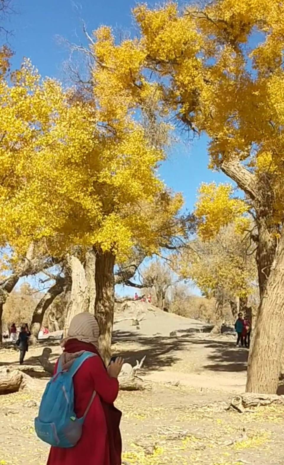 f5rR-AAU0Tz73kd2qe41ZxRPjAavGSKNTlfHcE2NU7_sWSNL1-cJJZh9FPMeLjaA