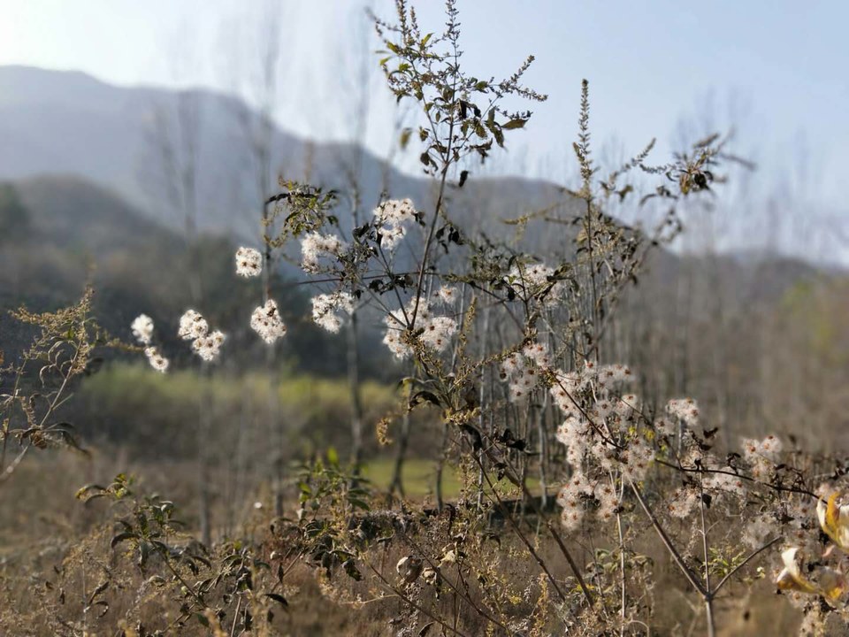 1qXjeK2ZgRLvstNOiqY-o5oND9ZzhIXJ5IBMNaNk0ncWkubeqGHnXaUwhsVC7qFO