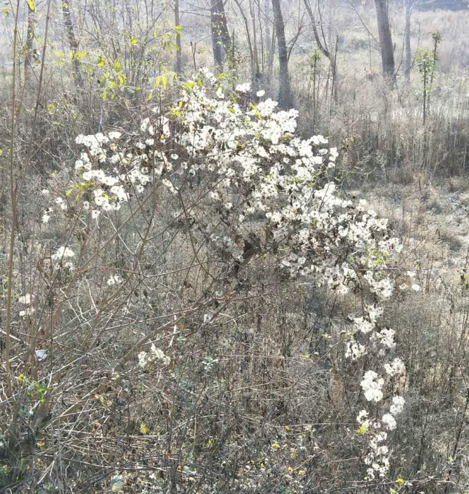 3LQwgwNh4YQSkT1kPNAbszGahlC63ymPReFwoKIiGOhfKg7CUsA-L3J1XAkr6PjO