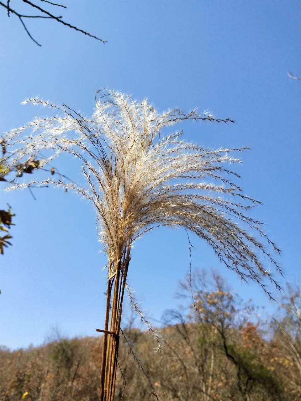 Ssg0qREclHDs-rIWsvWP5gBOGvD_0M_NUQcP8JHLOxAmHNEbRONB40pQjCAq_SYI