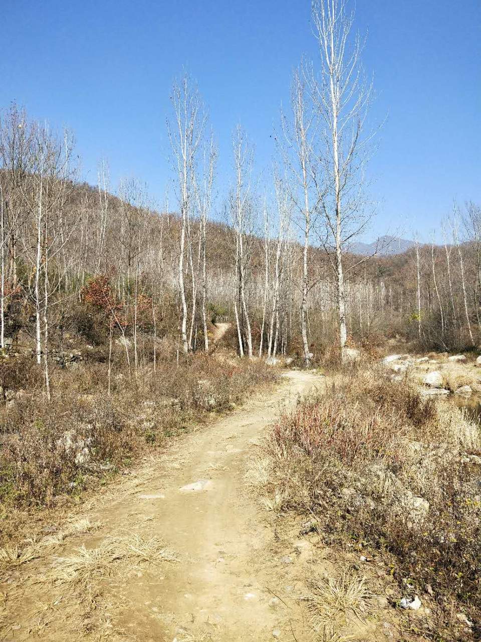 BAqRCoj7NwEpypjJnfC7Hgjs36OO4NFsTtNL6jpiPcmjgQm8AufkwveAmp8znFaw