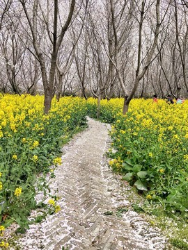 bdNyUeyFgYBUBulJXZPFsIQ84edUfjqf5rmD4poNJd_wfOsJzshaAMYzGAezcRbg