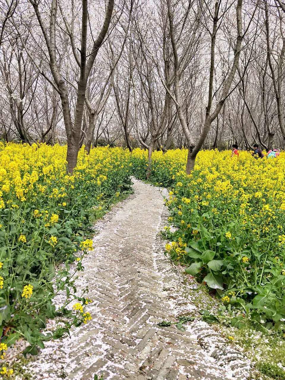 bdNyUeyFgYBUBulJXZPFsIQ84edUfjqf5rmD4poNJd_wfOsJzshaAMYzGAezcRbg