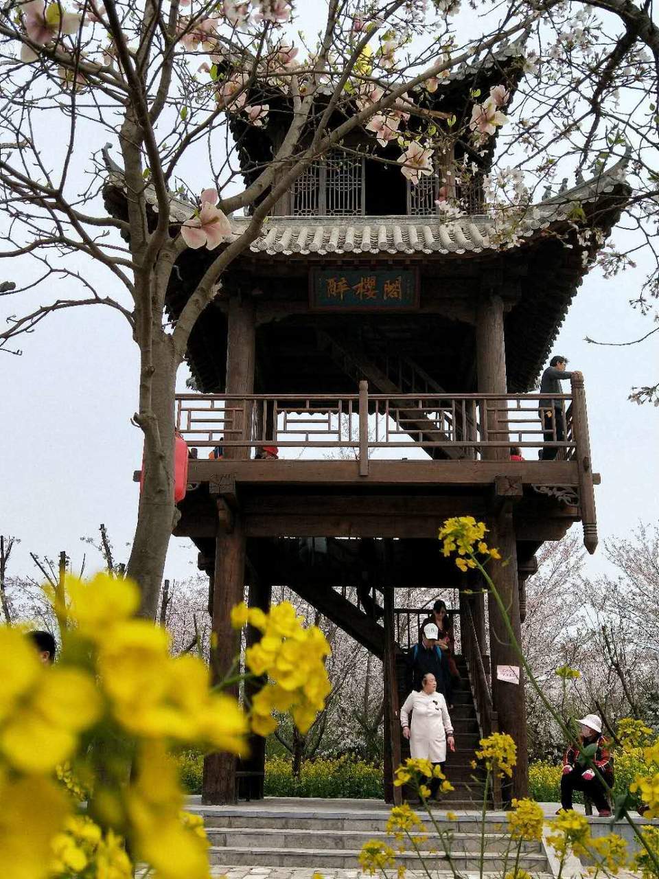 gfO-4fQOPzvK8Og50dhcH822E0Fmlm3eKCZxs1svGSo-ZhLFtYOynWgjuqs65ZEH