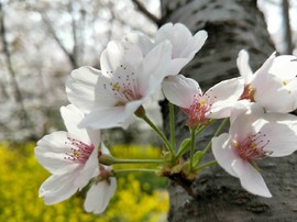 1QbzFjqxcA8R9otsmIRGY6wUIF1Z8oD7ssk2qYv2DgrD60-u6M_2cOw0_7_INj1M