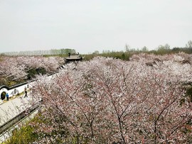 KVNh2JsQ-72HPYhPzdQTvajkB9DRsx-KoaUCCz6wb8ap6ciPU9VkbvDqKVzH9iOA