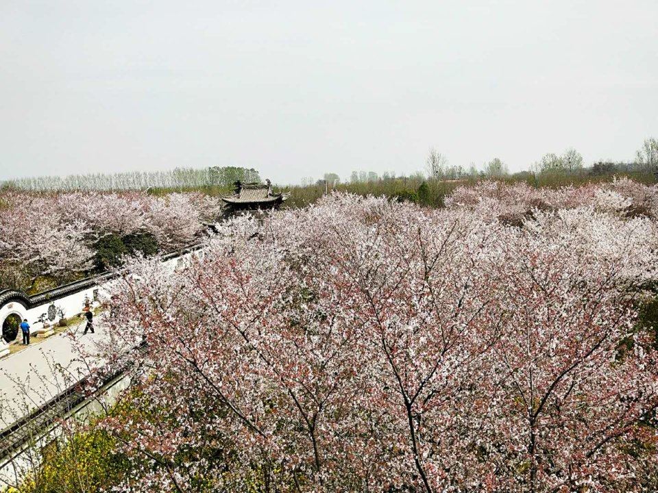 KVNh2JsQ-72HPYhPzdQTvajkB9DRsx-KoaUCCz6wb8ap6ciPU9VkbvDqKVzH9iOA