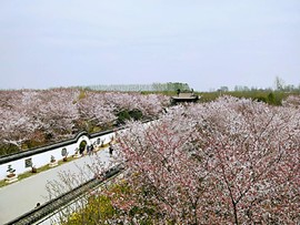 9BccBii6KjHiCD1rogfCOah3WUPEe0wgOp4rVmC41fTdLQC59MnQlU02gdnTwL7K