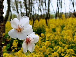 MgZpjyTi7uGlkbJTSMvEH4B0tvTQ4ZfZo35dWm3Q4xj02CEHq8FhwWOfeQgb29ZX