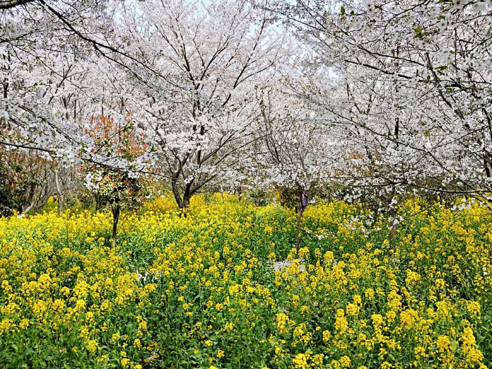 PWiCodDsm3UfEEJZL_pS1L1Q6PLrNgSGfQ3EATpl3dgj64CsoXMyYtirYuMudFuZ