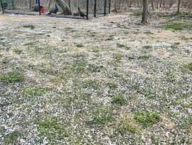 UA4nx4LuT6CnTbA1IhG_PffCWoP4CRRDYDKSYJ33Nu2wfQ6Zsn9Zcm4R1QEnh3sS