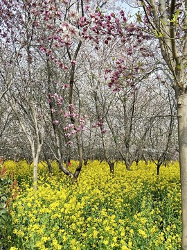 vJ9vQYzeYimr-hxfSLIZpzpyqUr2ToXvCMOxSi4pdQ-qhlv-82MebKX_8yfGU1Up