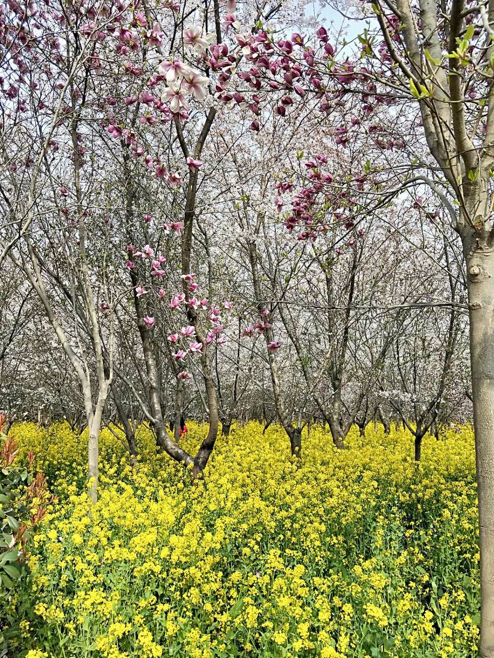 vJ9vQYzeYimr-hxfSLIZpzpyqUr2ToXvCMOxSi4pdQ-qhlv-82MebKX_8yfGU1Up