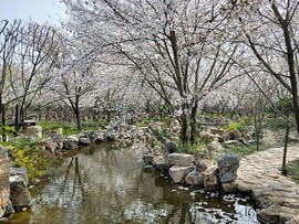 46vioss-ivo9svsy30rdq2vNk1lR1Wl_Rn2qSrL0C6imEZA1h-iUVPEKaTNuKK4n