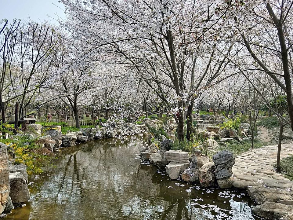 46vioss-ivo9svsy30rdq2vNk1lR1Wl_Rn2qSrL0C6imEZA1h-iUVPEKaTNuKK4n