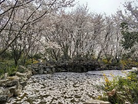 3WPDmUPeFavFeH6Xi7O_Xq0aHpb4gP0AWX_xQZz9EKE--uQpCMPKCr2p7kmeTGt7