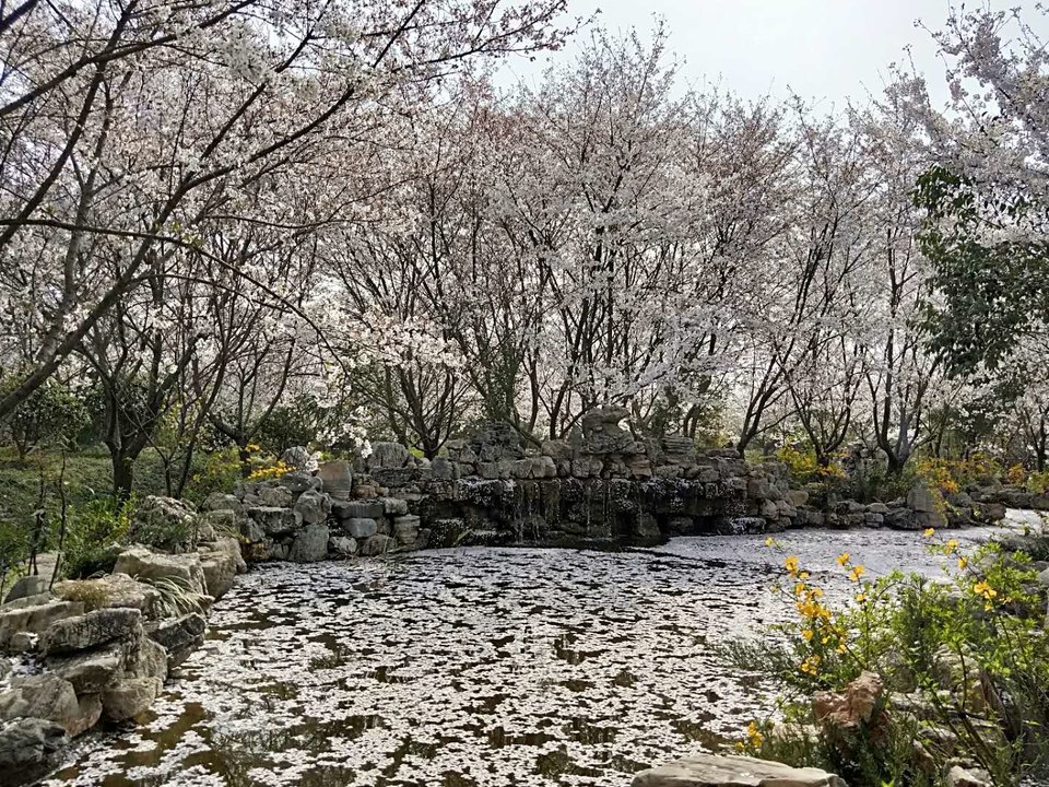 3WPDmUPeFavFeH6Xi7O_Xq0aHpb4gP0AWX_xQZz9EKE--uQpCMPKCr2p7kmeTGt7