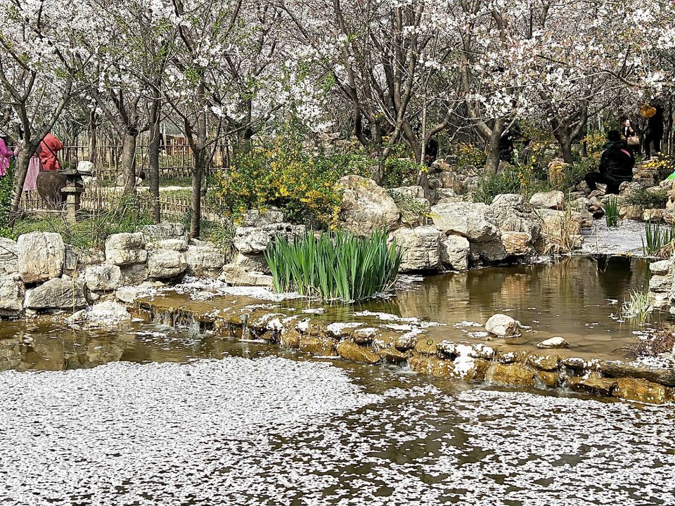 zEpKoQDn4w9JZ_U-sSQfuWTpZX44_gqkSVVZoeAPPYFU1uBqxwUAzn9TXOmL6BB4