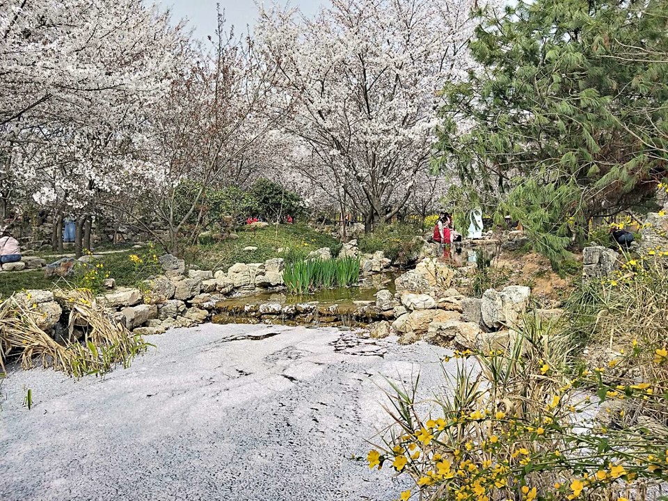 3tNhnn6bzS8I6h-ncM7BJGqvWVSWToU5WNmkTJdHV7T5wK1mpCZma-NXrZvt1EYL