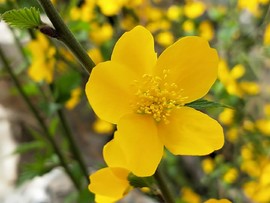 5CZDUZe5t-d-W5vF_ZfxlW0a73Q2tE_nr7UD_XOTemKS80K-M52Jfa6LCDbZ9xj2