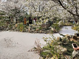 mFe-U4hzsGpojSjL6HcmuYxbHJB8RkgbDRho3YmNeSoNREs5VGELuDjUjzYgFEIN