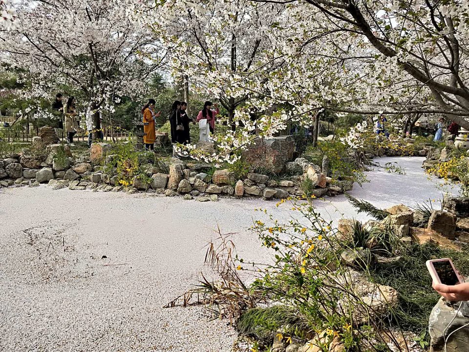 mFe-U4hzsGpojSjL6HcmuYxbHJB8RkgbDRho3YmNeSoNREs5VGELuDjUjzYgFEIN