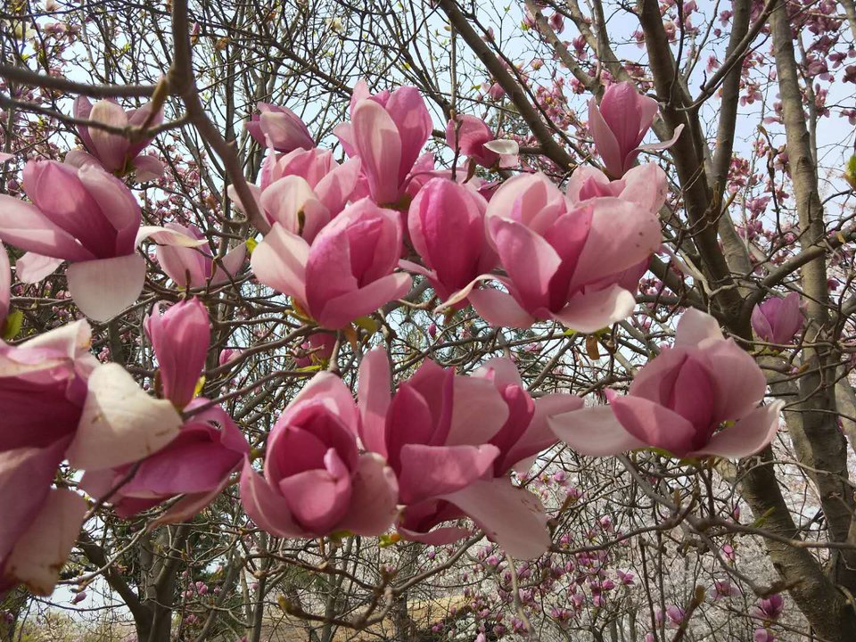 29jVYqvg-tQpiIbTAJIuSaHyRSQxM1hLb4AkQMFBfOJ1k4Oz0Qx0chAD0yVczzj1